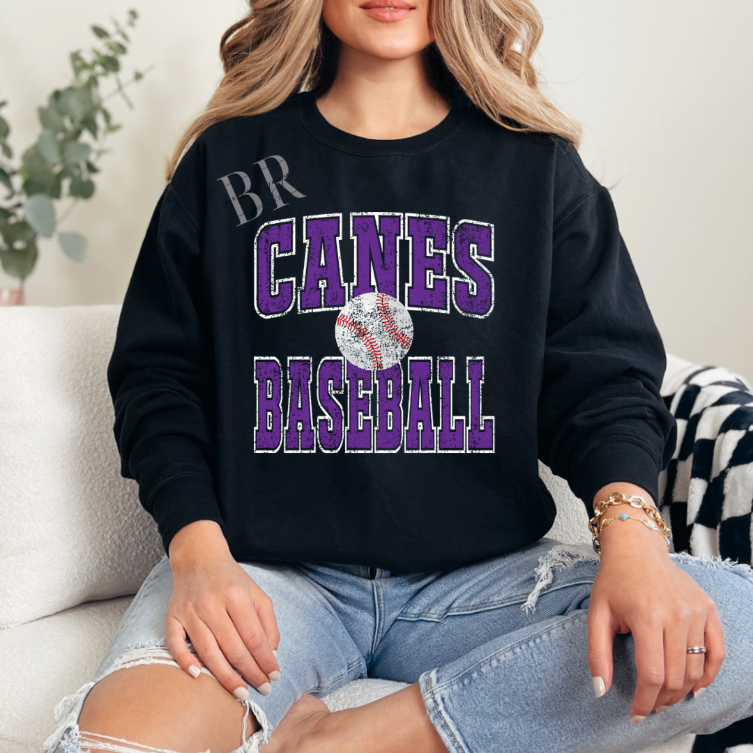 Canes Baseball Sweatshirt PREORDER