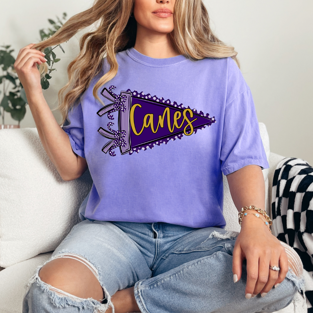 Canes Pendant Flag PREORDER