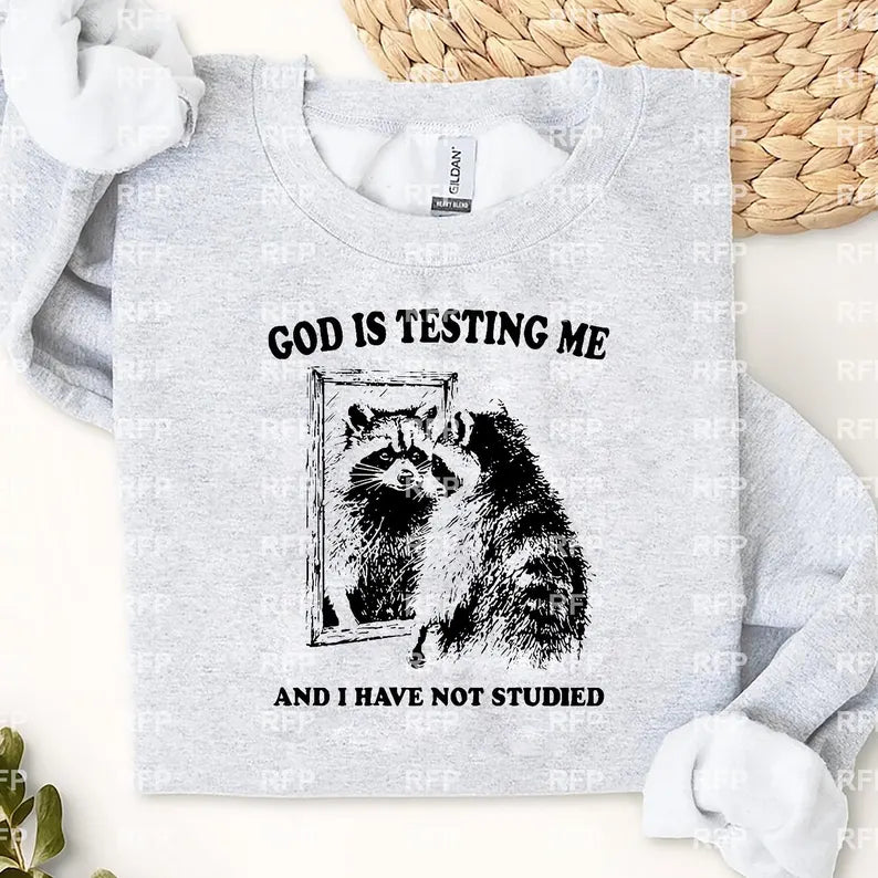 I Have Not Studied PREORDER